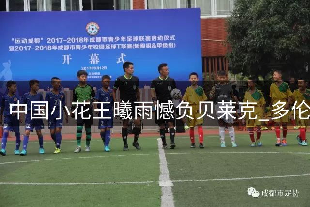 中国小花王曦雨憾负贝莱克 多伦多站首轮出局