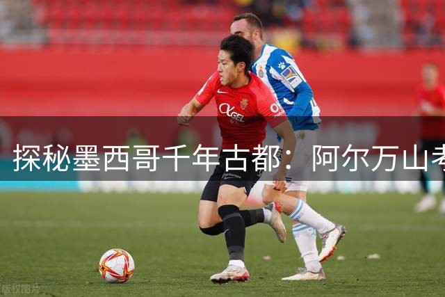 探秘墨西哥千年古都：阿尔万山考古奇观全记录